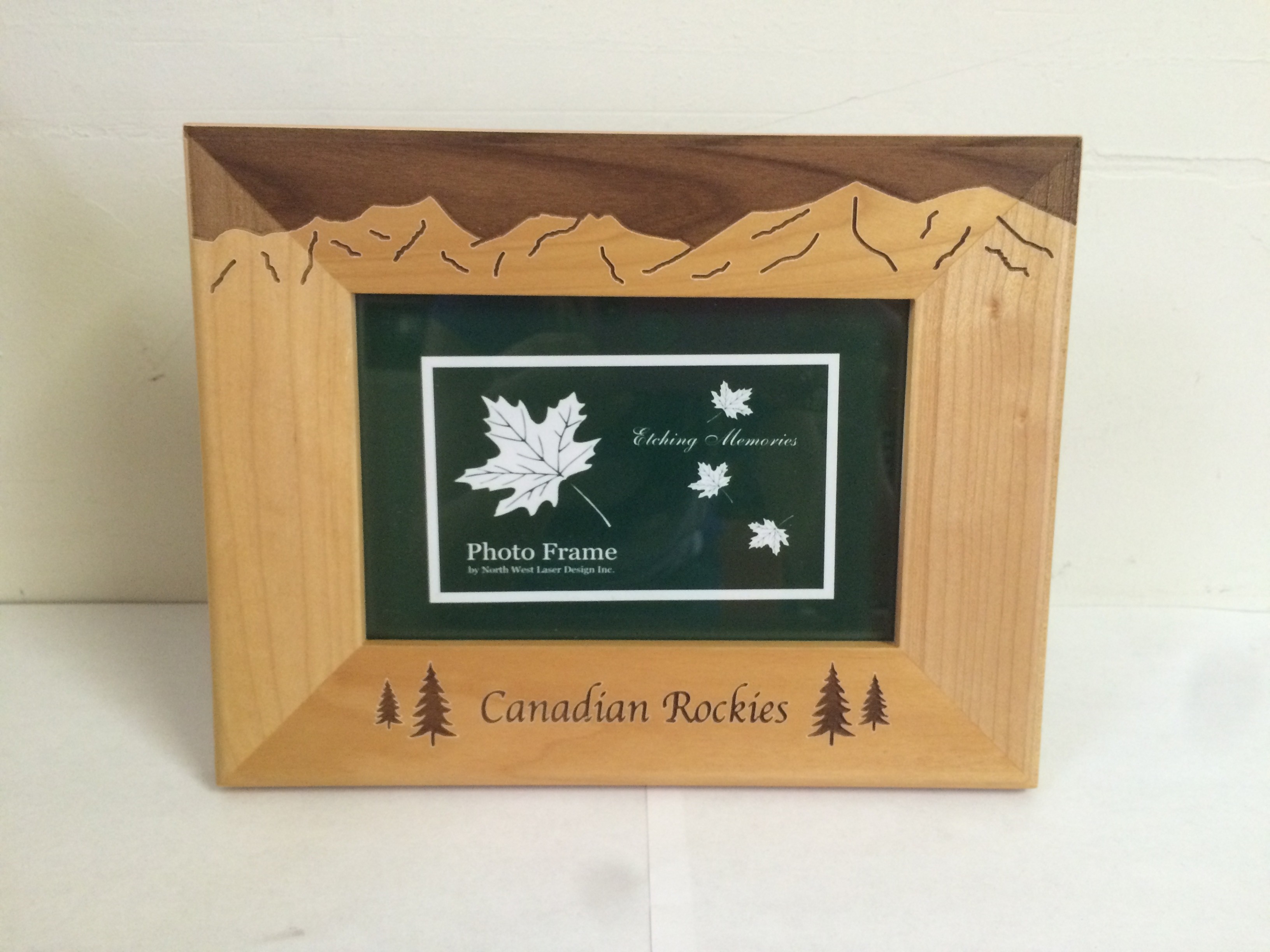 Picture cheap frames canada
