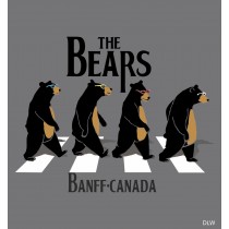 ADULT T-SHIRT THE BEARS ANTHRACITE - SIZE X-LARGE