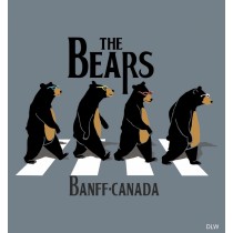 ADULT T-SHIRT THE BEARS BLUE SIZE MEDIUM