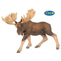FIG MOOSE