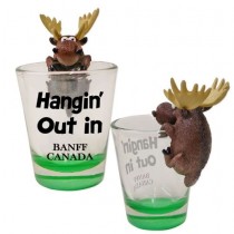 SHOT/G HANGING OUT MOOSE BANFF