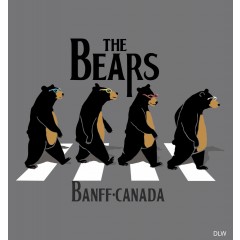 ADULT T-SHIRT THE BEARS ANTHRACITE - SIZE MEDIUM