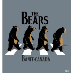 ADULT T-SHIRT THE BEARS BLUE SIZE X-LARGE