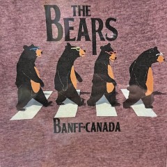 YT 22 THE BEARS H/MAR 10