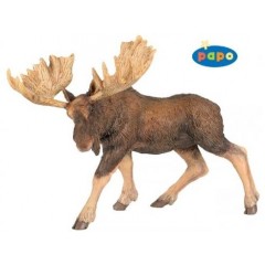 FIG MOOSE