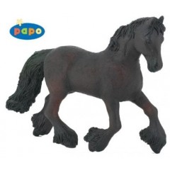 FIG FRISIAN MARE