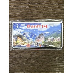 MAG 19 SR 3D METAL BNF AVE(12)