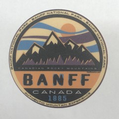 STICKER F18 BL84 CEREBRAL(50)