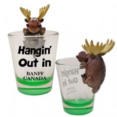 SHOT/G HANGING OUT MOOSE BANFF